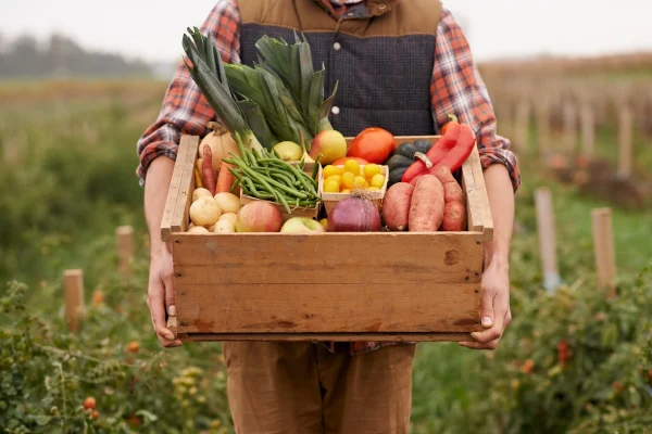 Board 7 man holding box of fresh veg in field