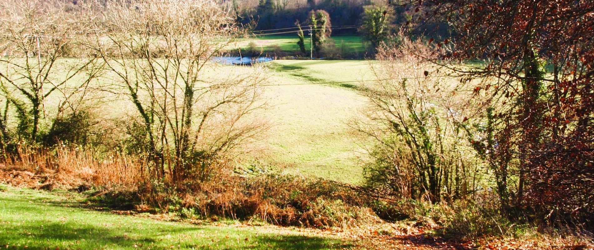 Exe Valley Winter 1