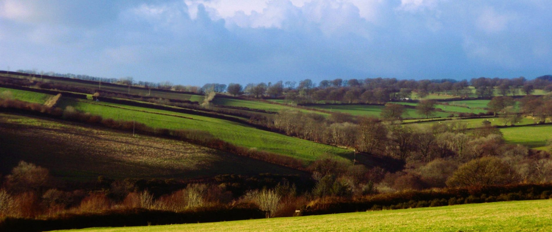 Exmoor from Combe Down Winter